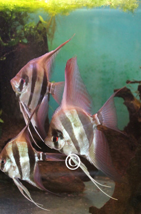 Bild072