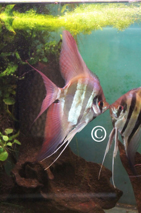 Bild073